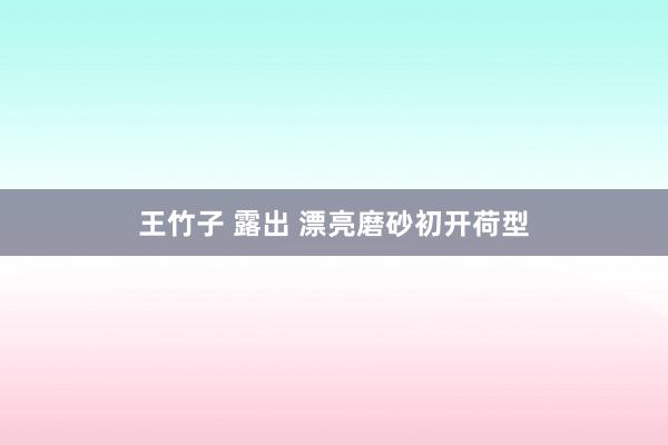 王竹子 露出 漂亮磨砂初开荷型
