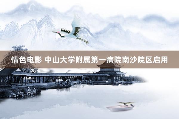 情色电影 中山大学附属第一病院南沙院区启用