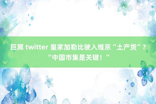 巨屌 twitter 皇家加勒比驶入维京“土产货”？“中国市集是关键！”