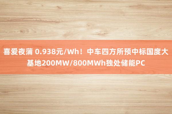 喜爱夜蒲 0.938元/Wh！中车四方所预中标国度大基地200MW/800MWh独处储能PC