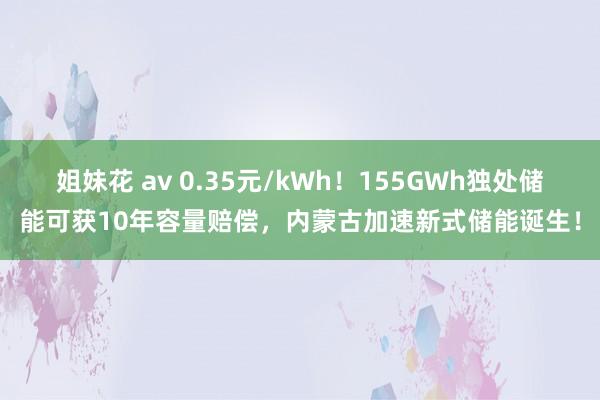 姐妹花 av 0.35元/kWh！155GWh独处储能可获10年容量赔偿，内蒙古加速新式储能诞生！