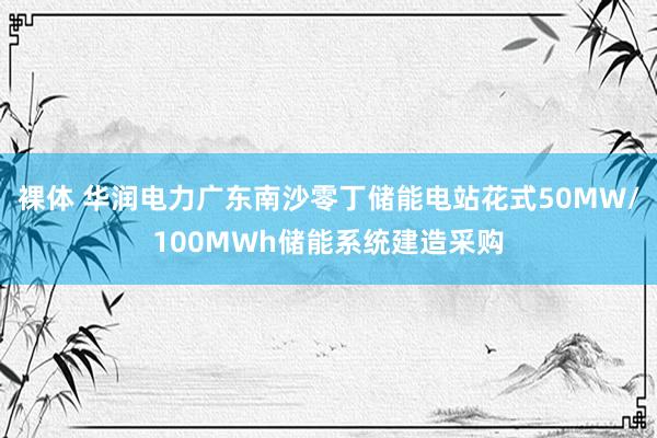 裸体 华润电力广东南沙零丁储能电站花式50MW/100MWh储能系统建造采购