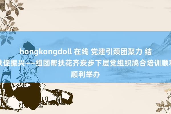 hongkongdoll 在线 党建引颈团聚力 结对帮扶促振兴——组团帮扶花齐炭步下层党组织鸠合培训顺利举办