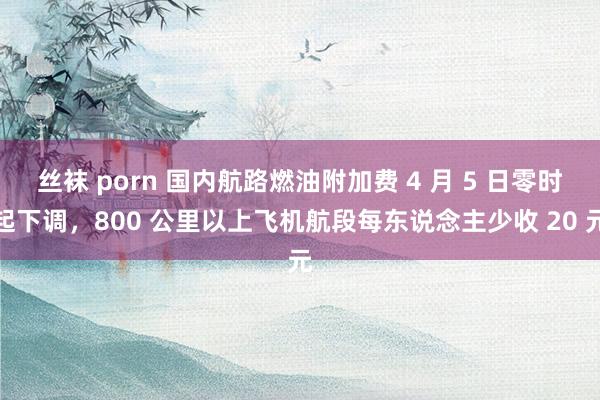 丝袜 porn 国内航路燃油附加费 4 月 5 日零时起下调，800 公里以上飞机航段每东说念主少收 20 元