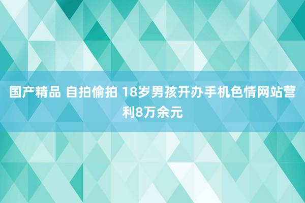 国产精品 自拍偷拍 18岁男孩开办手机色情网站营利8万余元