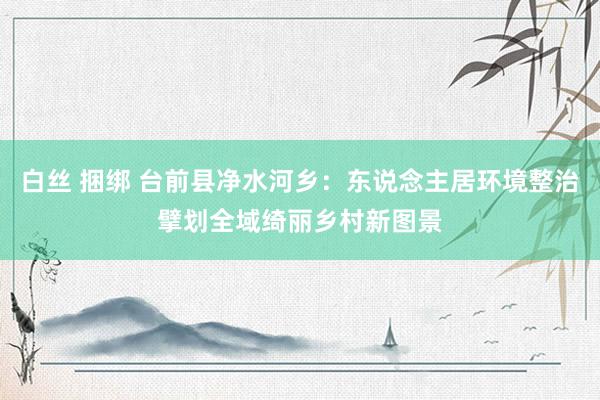 白丝 捆绑 台前县净水河乡：东说念主居环境整治擘划全域绮丽乡村新图景