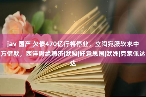 jav 国产 欠债470亿行将停业，立陶宛服软求中方借款，西洋谢绝赈济|欧盟|好意思国|欧洲|克莱佩达