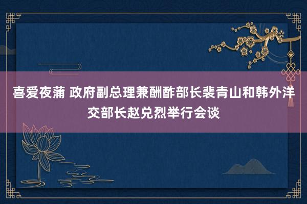喜爱夜蒲 政府副总理兼酬酢部长裴青山和韩外洋交部长赵兑烈举行会谈