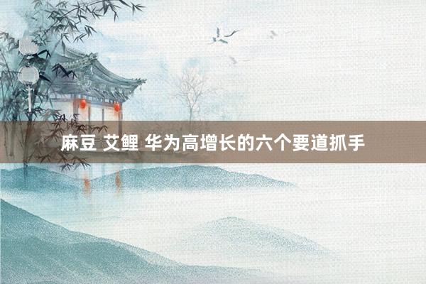 麻豆 艾鲤 华为高增长的六个要道抓手