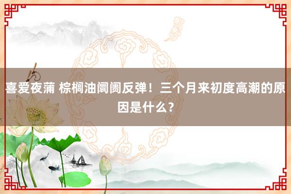 喜爱夜蒲 棕榈油阛阓反弹！三个月来初度高潮的原因是什么？
