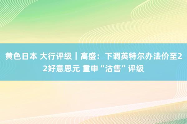 黄色日本 大行评级｜高盛：下调英特尔办法价至22好意思元 重申“沽售”评级