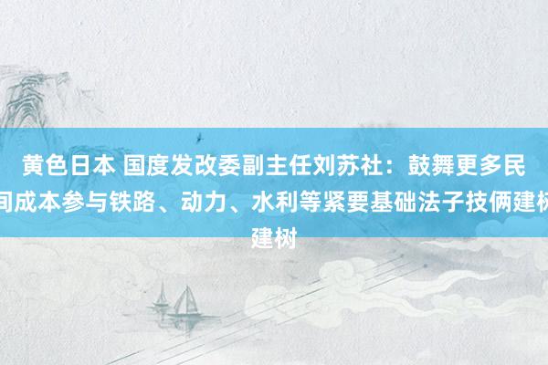 黄色日本 国度发改委副主任刘苏社：鼓舞更多民间成本参与铁路、动力、水利等紧要基础法子技俩建树