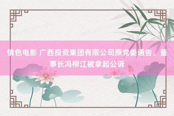 情色电影 广西投资集团有限公司原党委通告、董事长冯柳江被拿起公诉