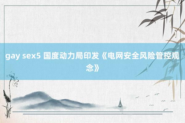gay sex5 国度动力局印发《电网安全风险管控观念》
