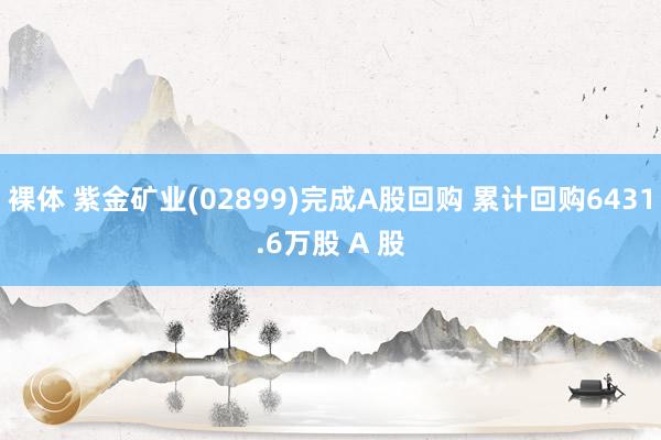 裸体 紫金矿业(02899)完成A股回购 累计回购6431.6万股 A 股